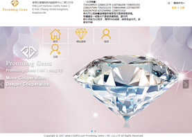 promising gems（hk)co.,ltd